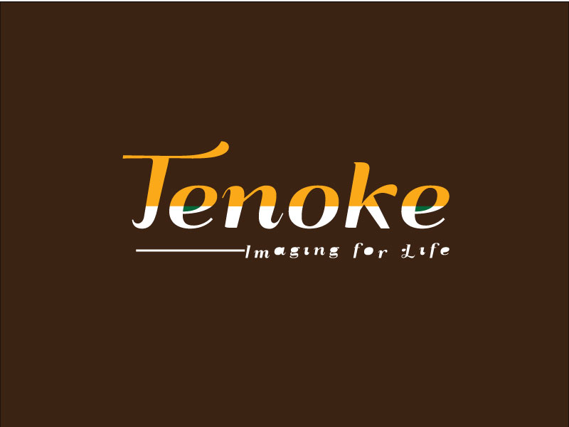 Logo Design by hrahman25091979 for Tenoke Limited | Design #11902862