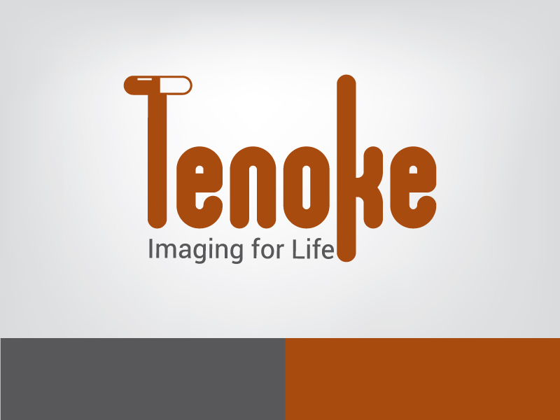 Logo Design by ihossain14091992 for Tenoke Limited | Design #11903860