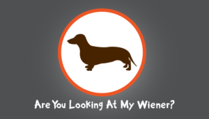 T-Shirt-Design von V/W Design für Flashy Paws | Design: #11967305
