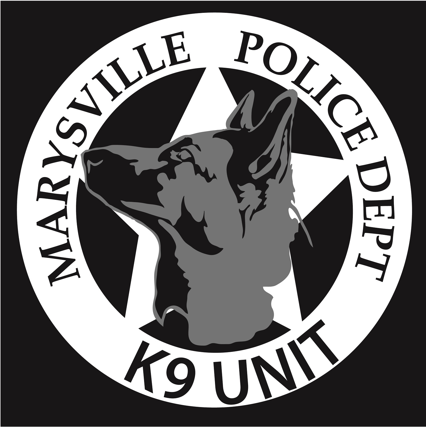 Diseño de Camiseta por crazeepony para Chameleon Prints | Diseño #11996569