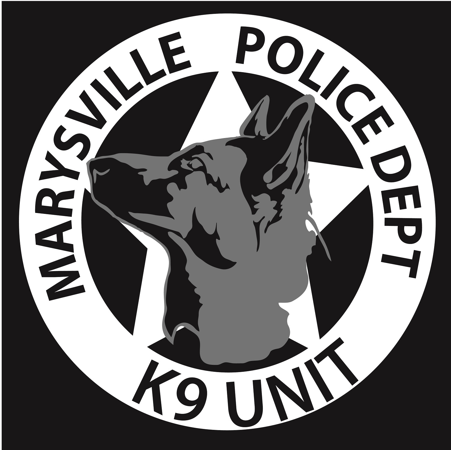 Diseño de Camiseta por crazeepony para Chameleon Prints | Diseño #11996573