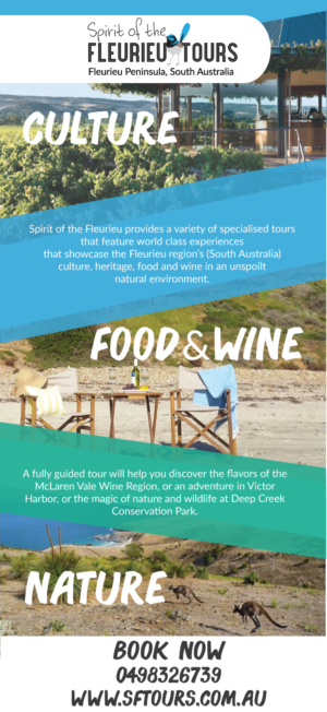 Brochure Design by sarahtelferdesign