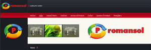 Logo Design by SeXtreme for Telcron | Design: #2395701