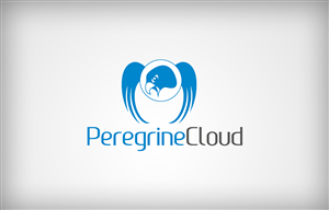 PeregrineCloud | Logo Design by Digital Designer Agency