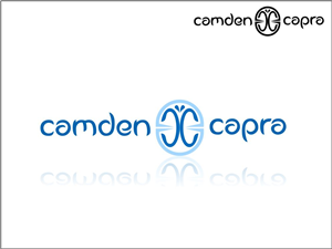 Design de Logo par nokiarie pour ce projet | Design : #502723
