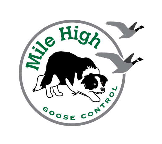 Logo-Design von TSEdesign für Mile High Goose Control, LLC | Design #11923976