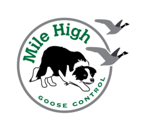 Logo-Design von TSEdesign für Mile High Goose Control, LLC | Design: #11923976
