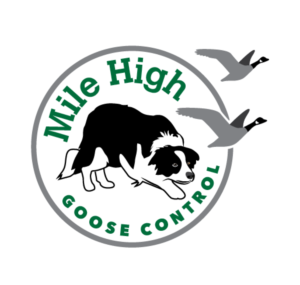 Mile High Goose Control, LLC | Diseño de Logo por TSEdesign