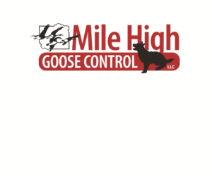 Logo Design by Hot Rod