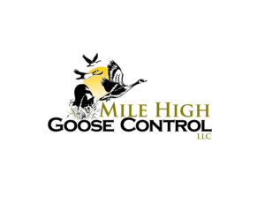 Logo Design by blue eye