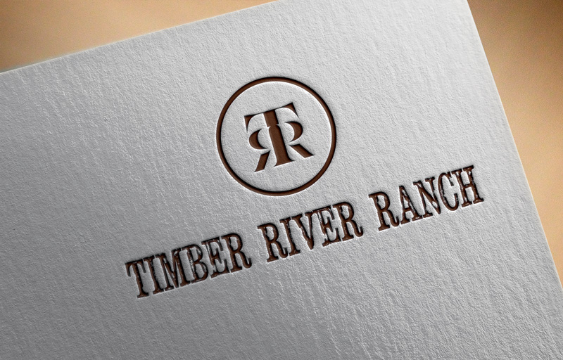 Logo-Design von ANABAS für dieses Projekt | Design #11999789