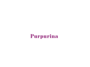Logo Design by jabin for this project | Design: #12112831