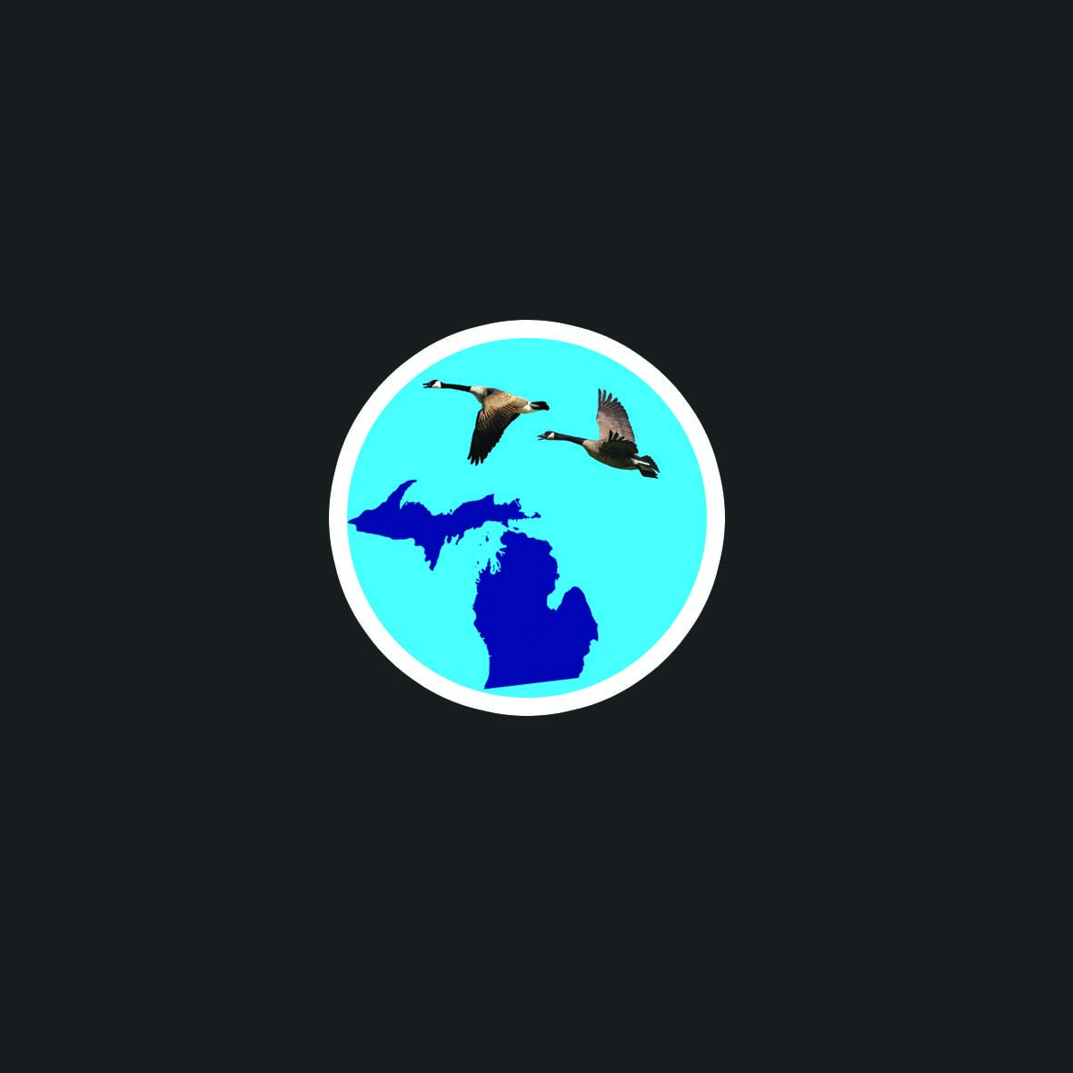 Diseño Gráfico por Omar Abd El Shafy para este proyecto | Diseño #2374922