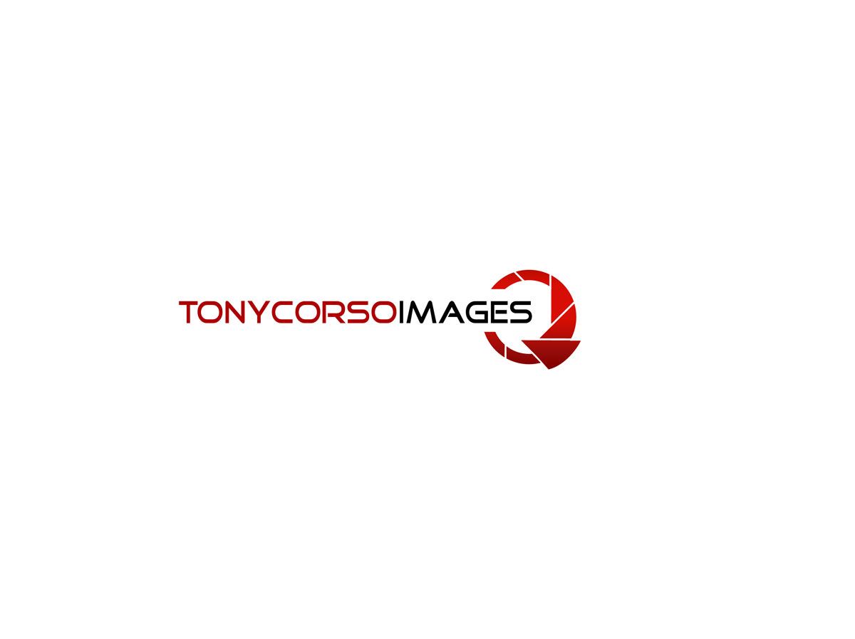 Logo Design by sbelogd for TonyCorsoImages | Design #12031723