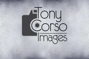 Logo Design by Tyler Blake Designs for TonyCorsoImages | Design: #12006275