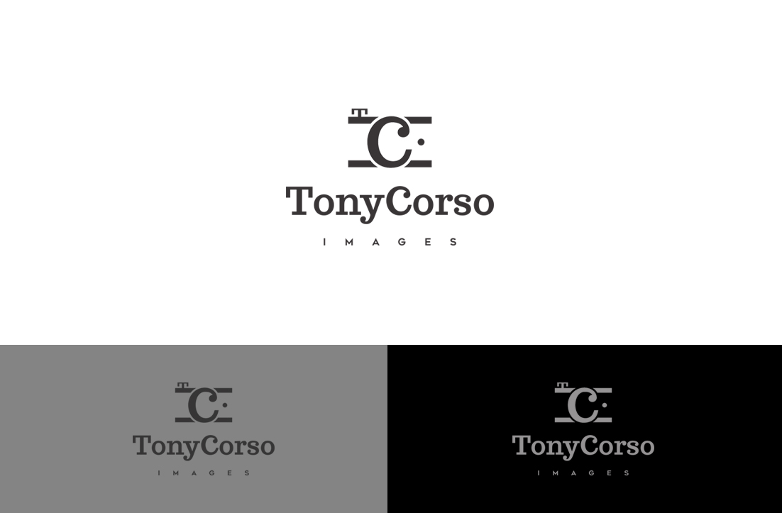 Logo Design by GLDesigns for TonyCorsoImages | Design #12004463