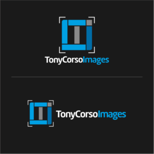 Logo Design by Ninja Ink