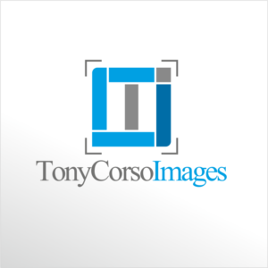 Diseño de Logo por Ninja Ink para TonyCorsoImages | Diseño: #12085403