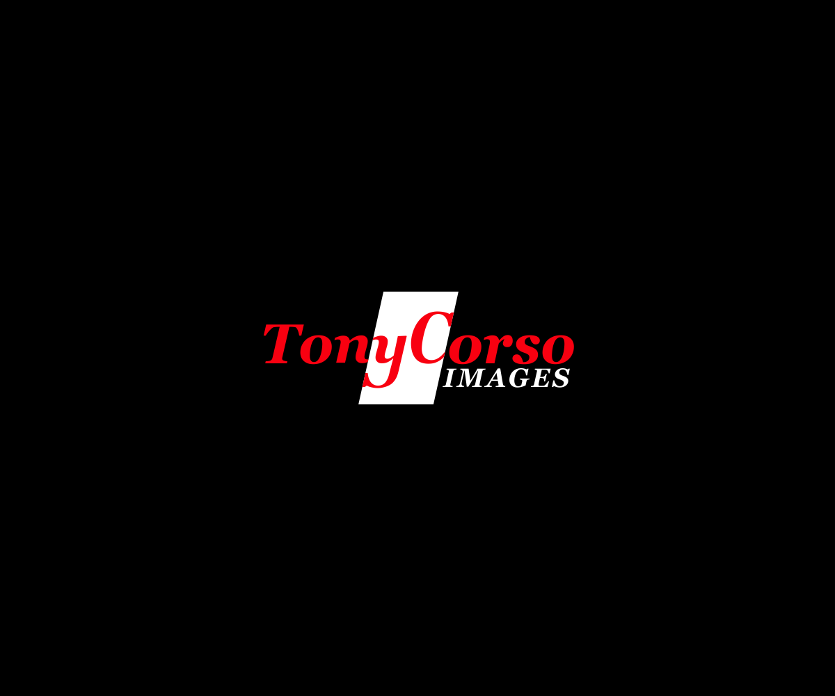 Logo Design by VladRa for TonyCorsoImages | Design #12014574