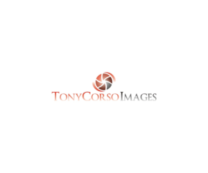 Logo Design by Clara Duran