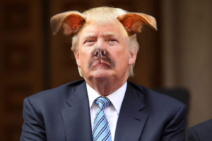 Photoshop Design Contest Submission #11953233