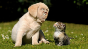 Photoshop Design Contest Submission #12023893