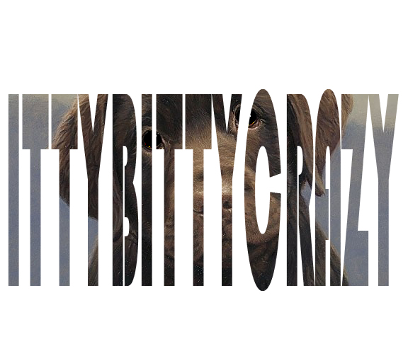 Logo Design by shuffs designs for this project | Design #27128