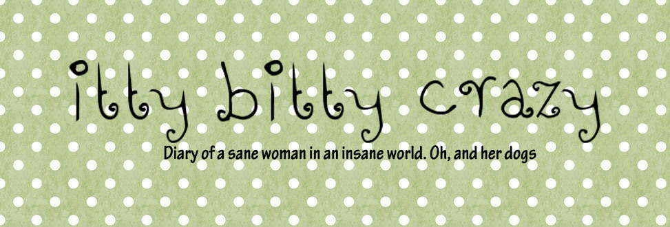 Logo Design by chelsaetotherescue for this project | Design #26792