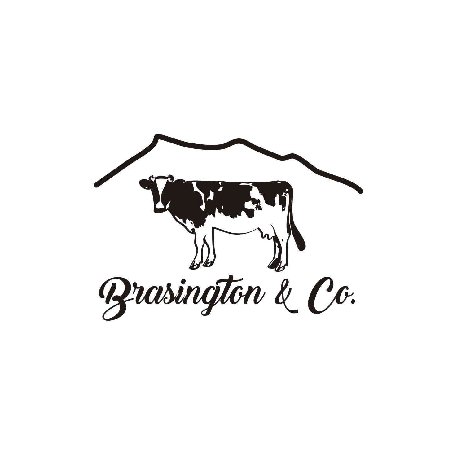 Design de Logo par Actives pour Brasington & Co. | Design #12059899