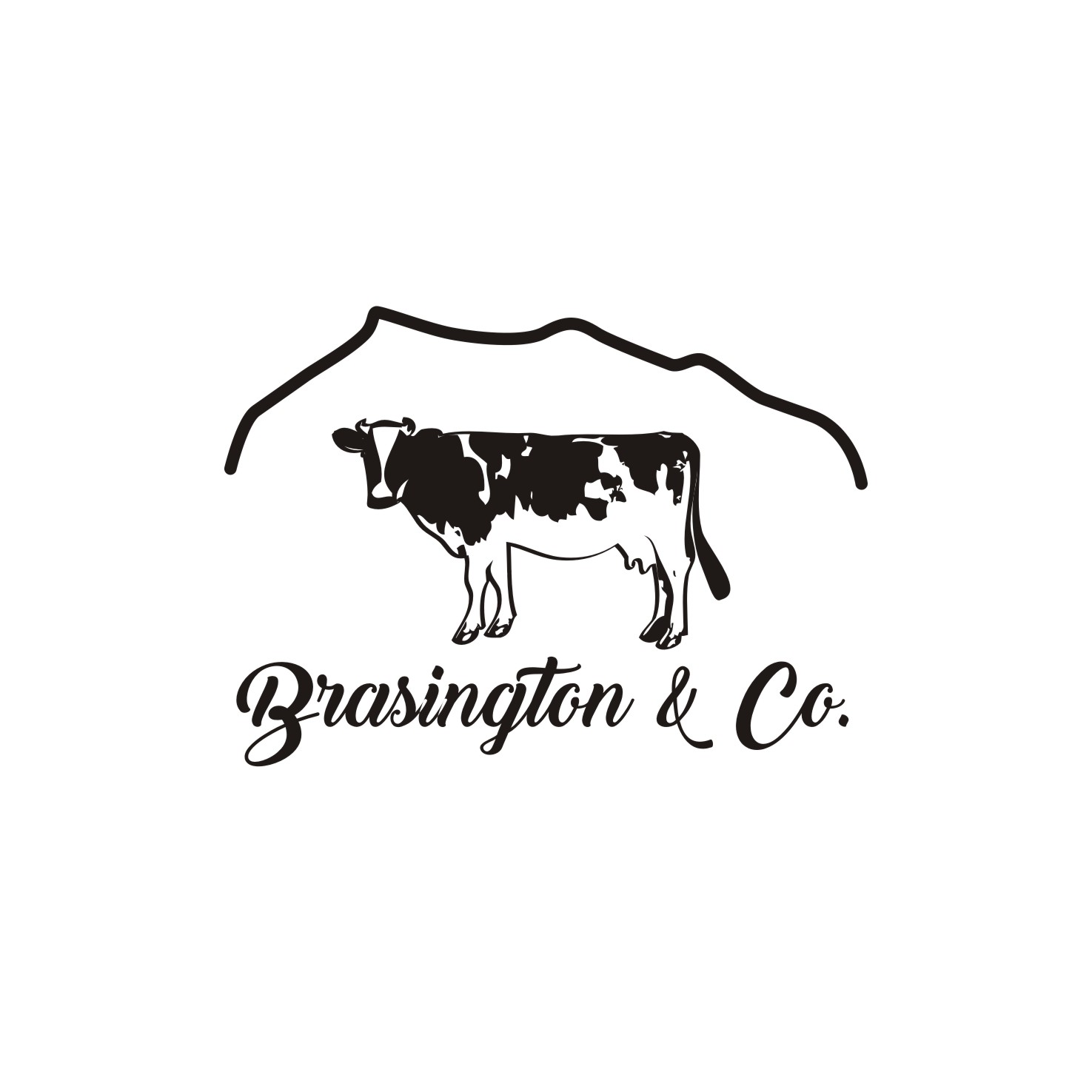 Design de Logo par Actives pour Brasington & Co. | Design #12062670