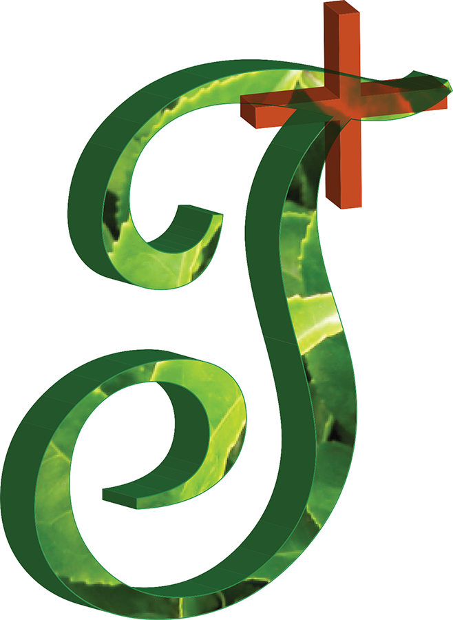 Logo Design by Vaishali Bhoyar for this project | Design #2396449