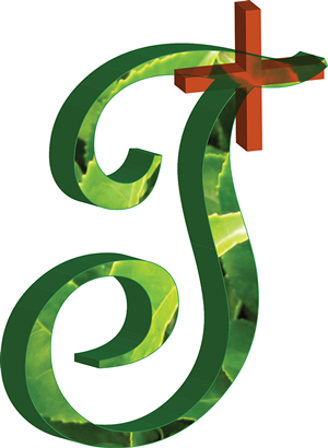 Logo Design by Vaishali Bhoyar
