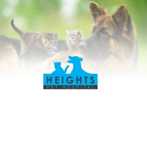 Logo Design by Leica Alexandru
