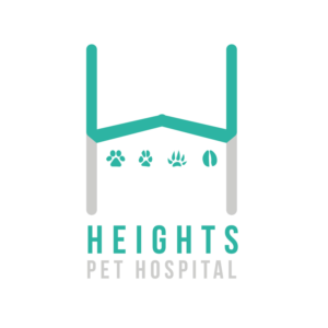 Logo Design by m.allahe87