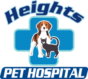 Logo Design by champenosigns