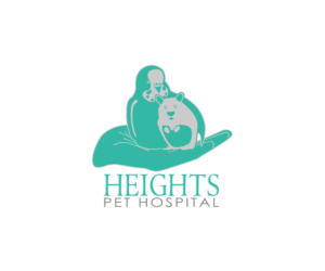 Logo Design by Adrian-Alexandru Barus
