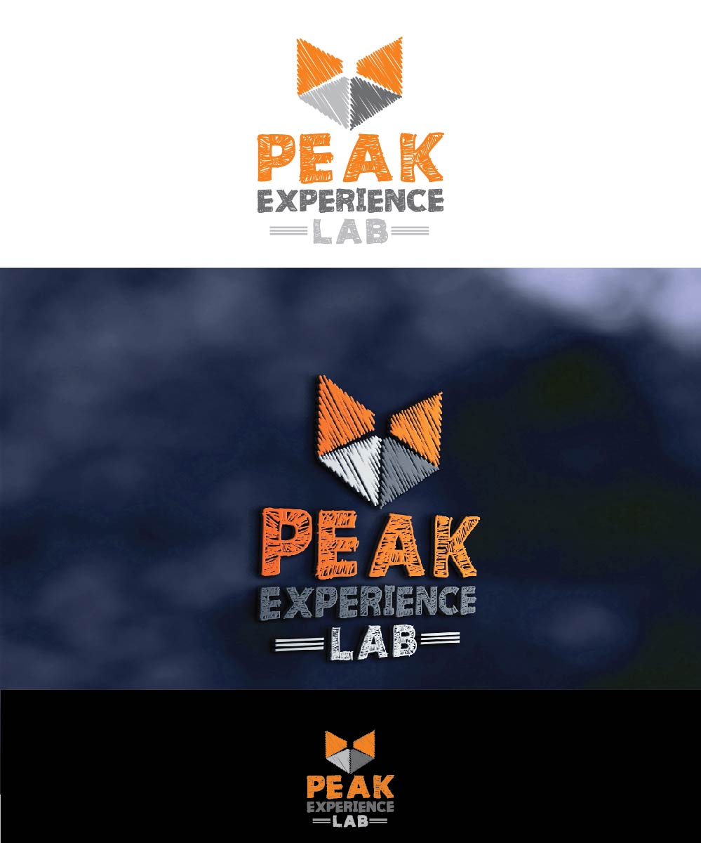 Logo Design by joliau for Peak Experience Lab | Design #11989353