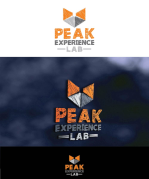 Logo Design by joliau for Peak Experience Lab | Design: #11989353