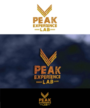 Logo Design by joliau for Peak Experience Lab | Design: #11989354
