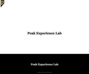 Logo Design by poisonvectors for Peak Experience Lab | Design #11982424