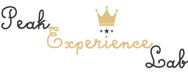 Logo Design by Daniyal for Peak Experience Lab | Design #11983350