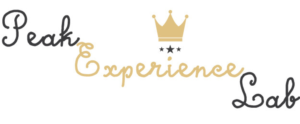 Logo Design by Daniyal for Peak Experience Lab | Design: #11983350