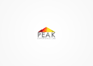 Logo Design by Daniyal for Peak Experience Lab | Design: #11984237