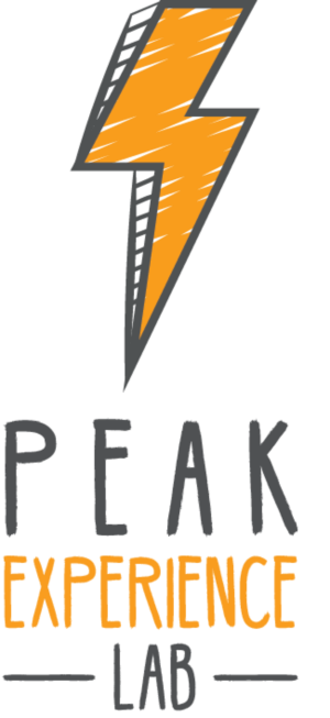 Logo Design by Daniyal for Peak Experience Lab | Design: #12038617