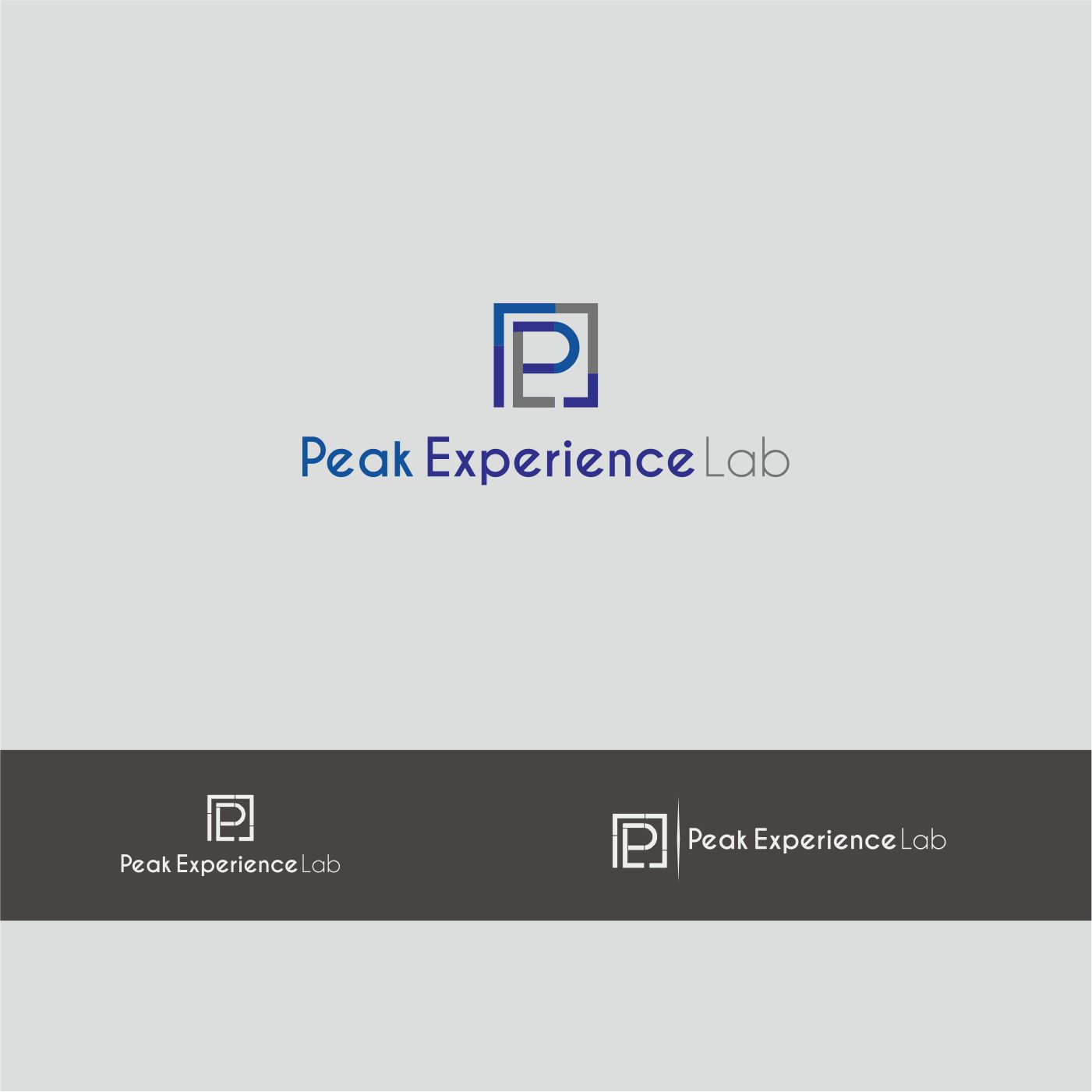 Logo Design by pa_irul for Peak Experience Lab | Design #12000767