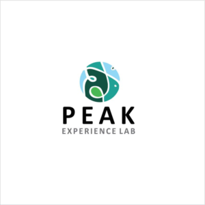 Logo Design by Creativeart for Peak Experience Lab | Design: #12014113