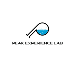 Logo Design by DZINO for Peak Experience Lab | Design: #11983033