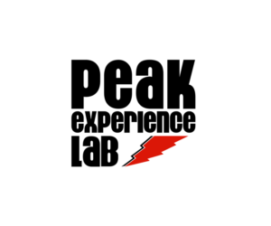 Logo Design by DZINO for Peak Experience Lab | Design: #11994481