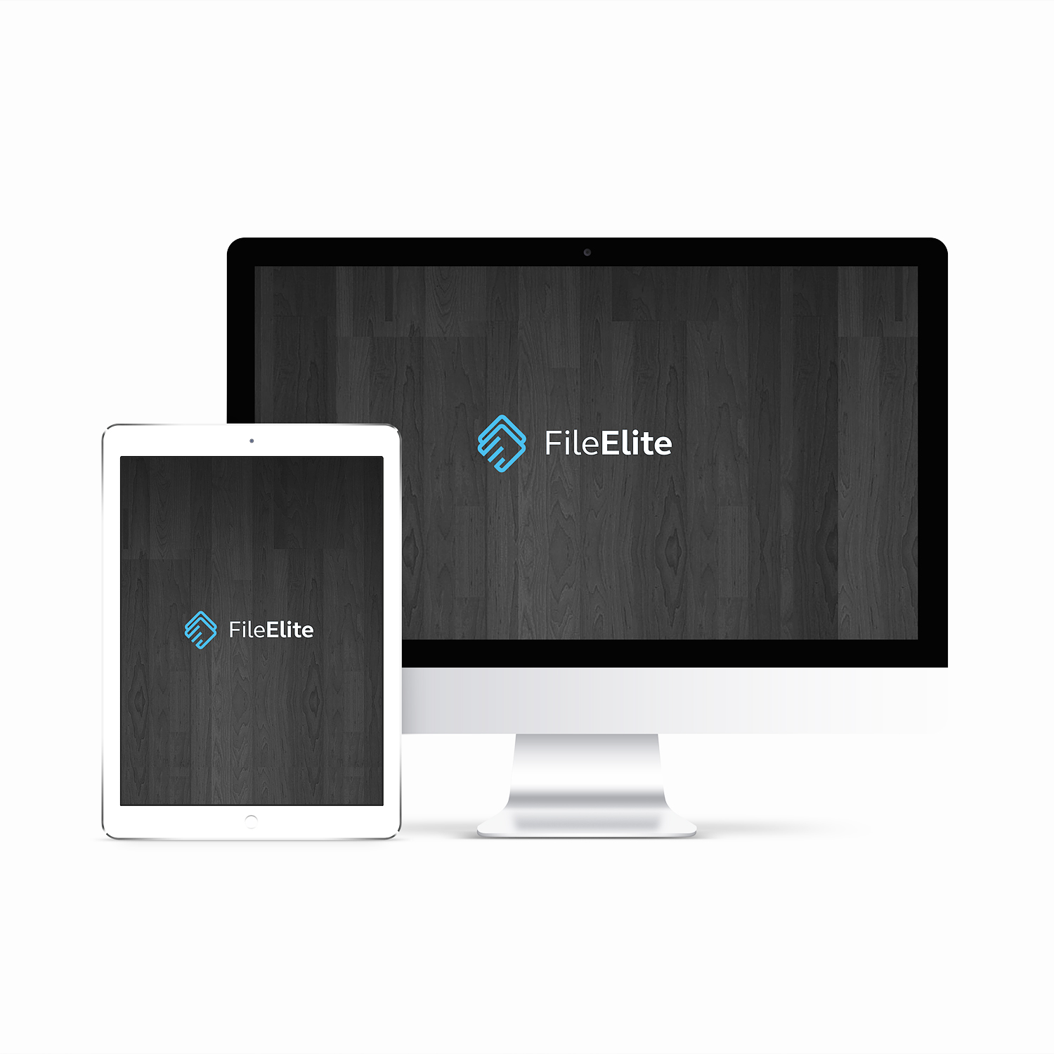 Professional, Serious, It Company Logo Design for FileElite by