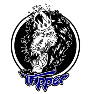 Logo Design by bayoo art